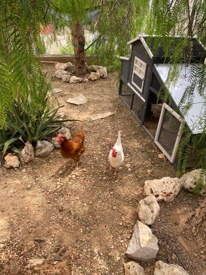 Tu Pequeno Paraiso Villa Calafell Esterno foto