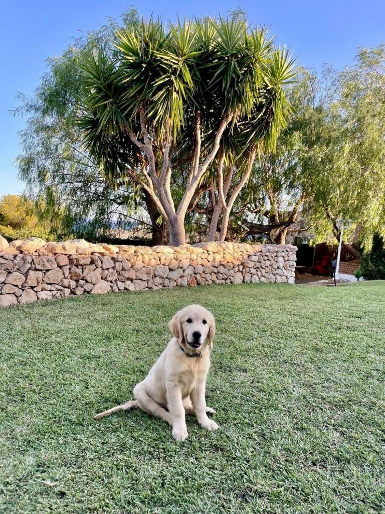Tu Pequeno Paraiso Villa Calafell Esterno foto