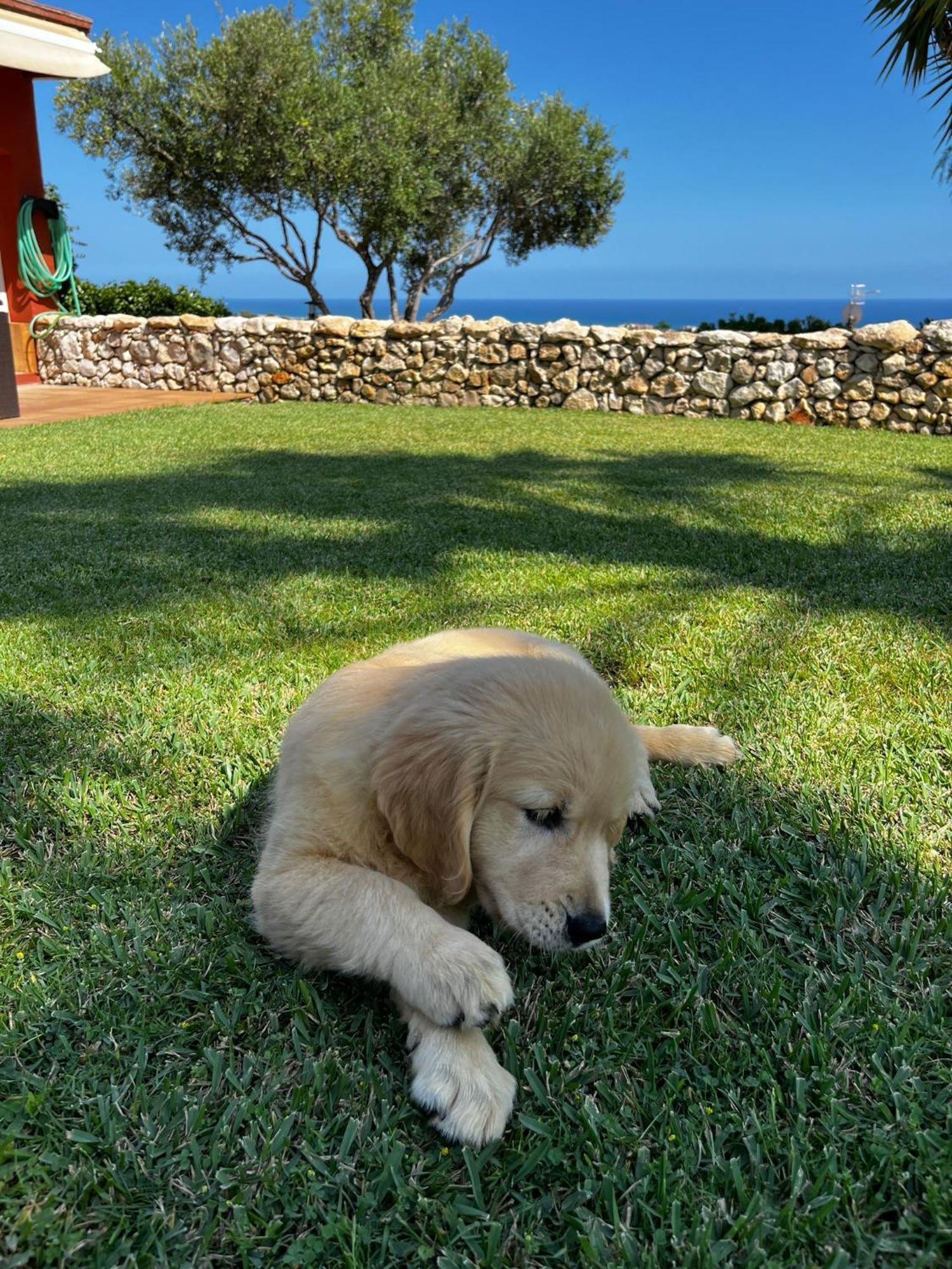 Tu Pequeno Paraiso Villa Calafell Esterno foto